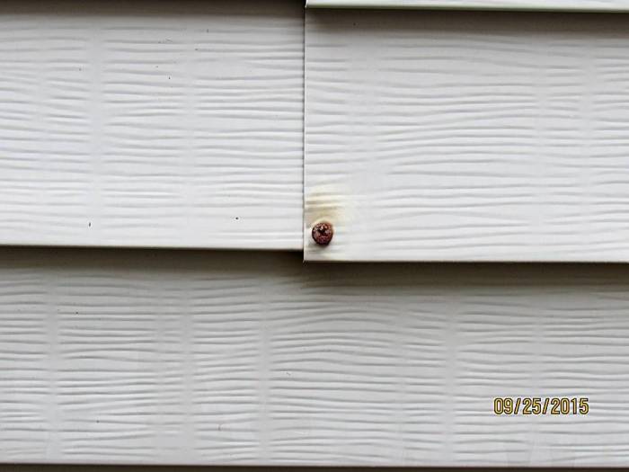How To Fix Vinyl Siding That Keeps Coming Loose at Garry Beckwith blog