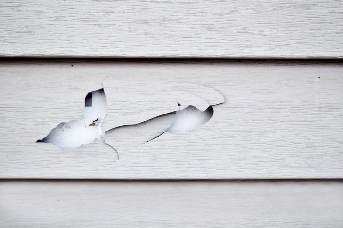 Vinyl Siding Repair | Expert Siding Repair Services - Northland Roofing ...