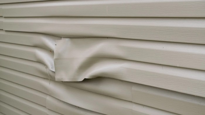 How To Do Vinyl Siding Repairs Yourself Before Hiring